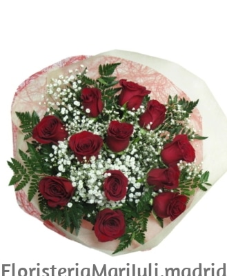 Regalo docena de rosas